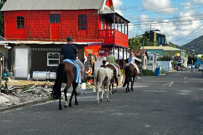 Gros Islet Village Horseback Riding run with Dore's riding Stable - Returning to Cap Estate with the foals and Silver
