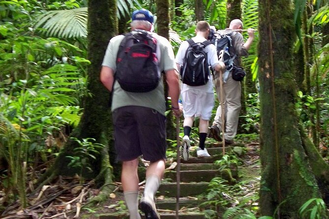 Gros Piton Hike in St. Lucia (Private) - A four-hour climb with a personal pace