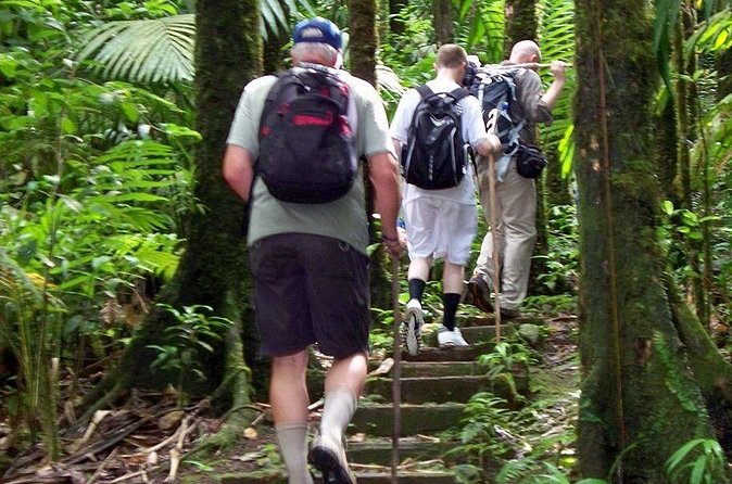 Gros Piton Hike in St. Lucia (Private) - The payoff at 2,461 feet