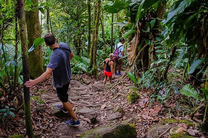 Gros Piton Hike in St. Lucia (Private) - Price, timing, and cancellation advice