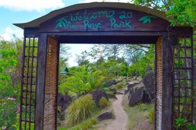 Gros Piton Hike St Lucia