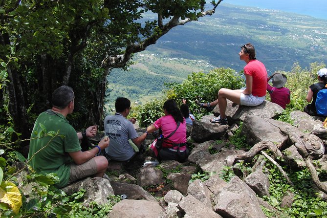 Gros Piton Hiking Adventure - The Gros Piton Summit and Petit Piton Views