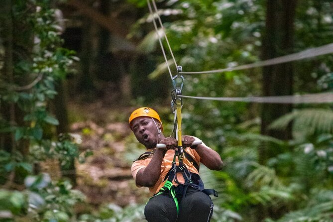 Half-Day Hiking Adventure with Aerial Tram & Zipline in St Lucia - Key Points at a Glance