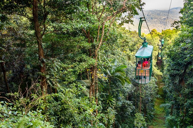 Half-Day Hiking Adventure with Aerial Tram & Zipline in St Lucia - Timing, Group Size, and Cruise-Day Planning