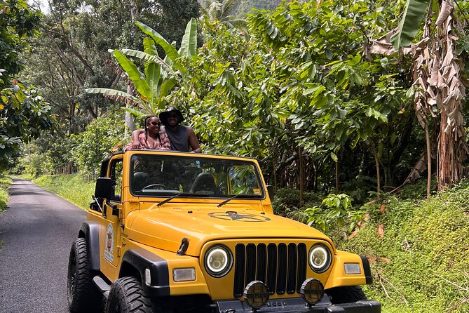 Half Day Private Tour in St. Lucia Jeep Wrangler - Key points to know before booking