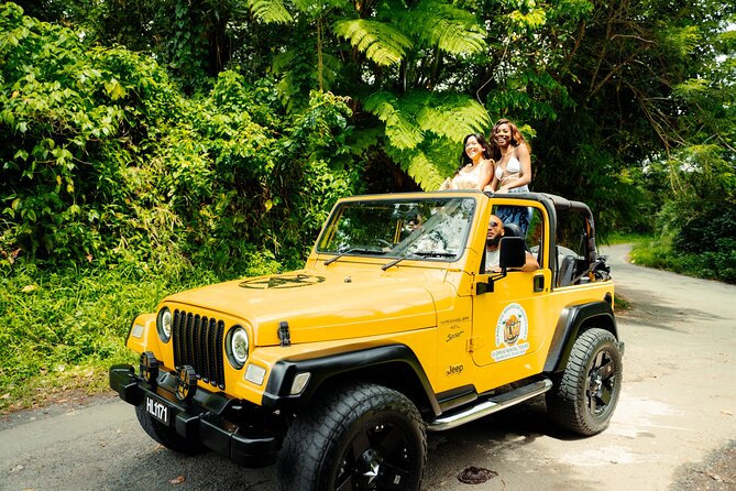 Half Day Private Tour in St. Lucia Jeep Wrangler - Why the private Jeep format works so well