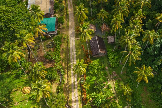 Historical 18th Century Estate Tour with Coconut Tasting - Walking through the herb and plant gardens