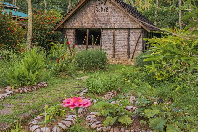 Historical 18th Century Estate Tour with Coconut Tasting - The cocoa and coffee house