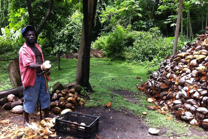 Historical 18th Century Estate Tour with Coconut Tasting - The mule-driven sugar cane mill
