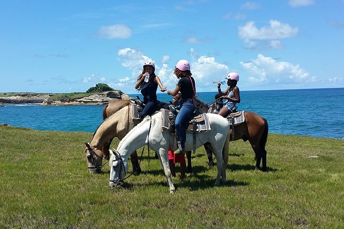 Horseback Riding Adventure Tour in St. Lucia - Key points to know before booking