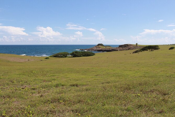 Horseback Riding Adventure Tour in St. Lucia - Riding and swimming on the beach