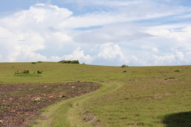 Horseback Riding Adventure Tour in St. Lucia - Who will enjoy this St. Lucia ride