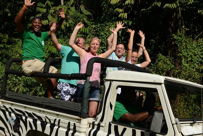 Jeep & Zip Safari St. Lucia From Castries - Why this St. Lucia combo works