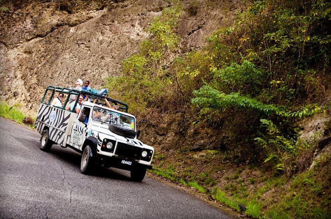 Jeep & Zip Safari St. Lucia From Castries - The short walk to Errand Falls