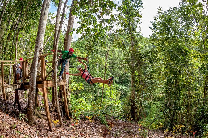 Jeep & Zip Safari St. Lucia From Castries - What $157.90 buys you