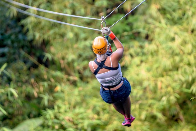 Jeep & Zip Safari St. Lucia From Castries - Booking details worth checking