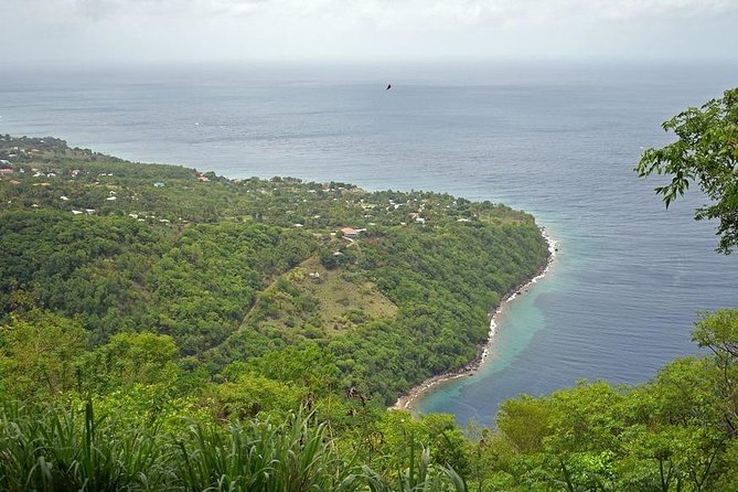 Lucian Piton Nature Trail Hike - Four things to know before you book