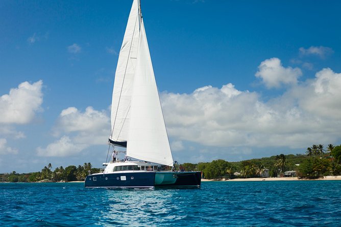 Luxury Seafood Cruise St. Lucia From Castries - Premium drinks while the island slips past