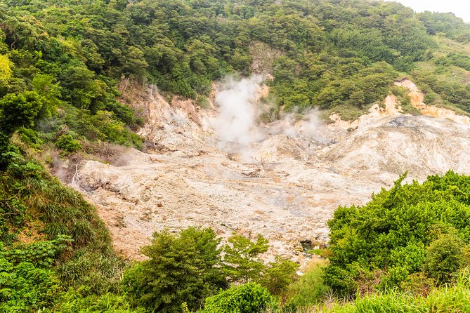 Magical Soufriere: A Tour of St Lucia - Morne Coubaril and the working plantation