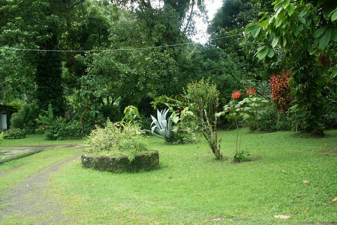 Magical Soufriere: A Tour of St Lucia - Diamond Falls and the tropical gardens