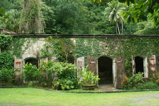 Magical Soufriere: A Tour of St Lucia - The ride, timing, and practical concerns
