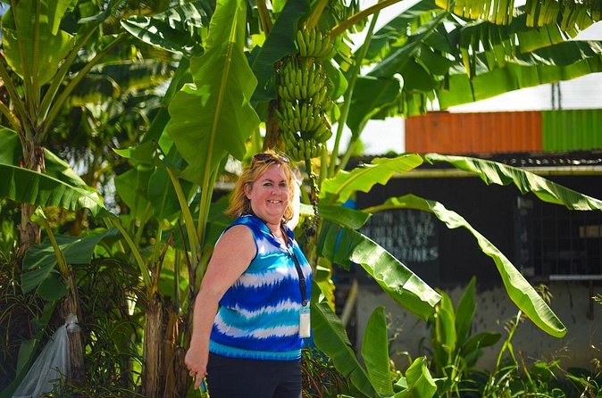 Mudbaths, Waterfall & Botanical Gardens Tour - All Inclusive - Toraille Waterfall is the quick cool-down