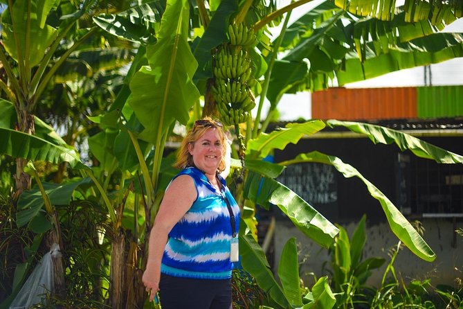 Mudbaths, Waterfall & Botanical Gardens Tour - All Inclusive - The drive, viewpoints, and guide service