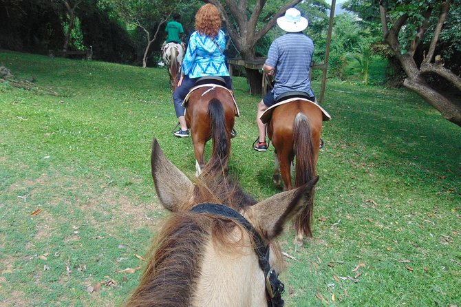 Nature & Historical Horseback Riding Tours St. Lucia - Reaching the Atlantic beach