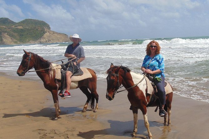 Nature & Historical Horseback Riding Tours St. Lucia - How the horses and guides shape the ride