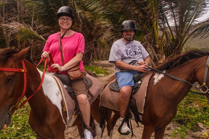 Nature & Historical Horseback Riding Tours St. Lucia - Is $120 a fair price?