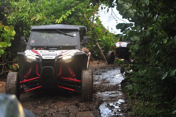 Northern Sights - Buggy in the North - Key points to know before booking