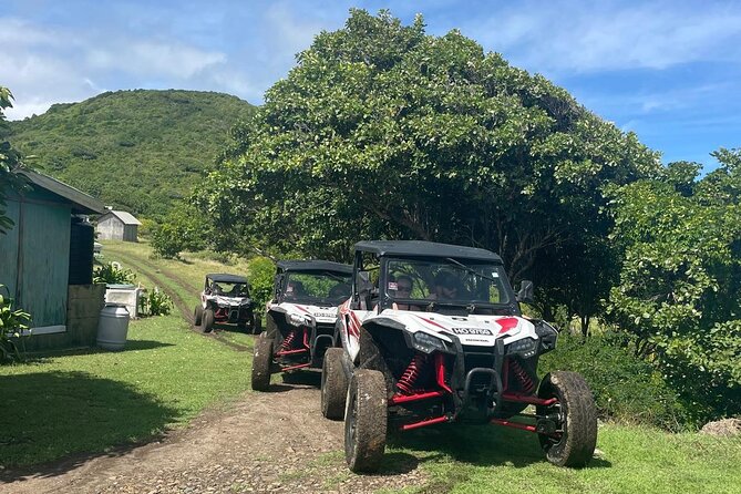 Northern Sights - Buggy in the North - Point Hardy and Monte Citron deliver the best views