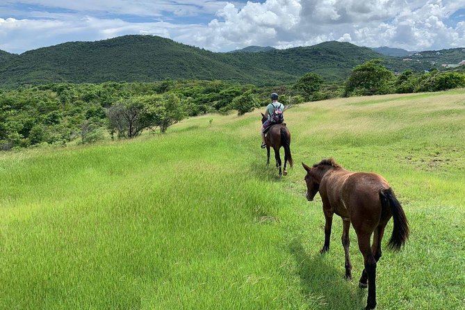 Private Advanced Horseback Beach Ride with Sandy Hoofs St. Lucia - Key points before you book