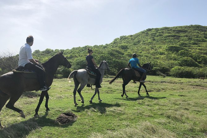 Private Advanced Horseback Beach Ride with Sandy Hoofs St. Lucia - Meeting the horses at Beausejour
