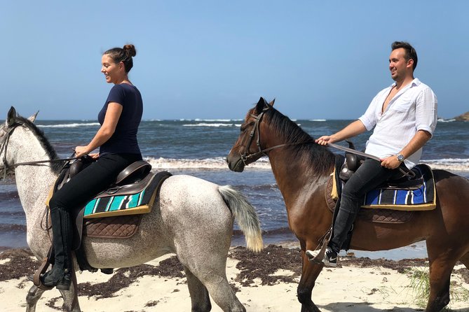 Private Beach Horseback Ride with Sandy Hoofs St. Lucia - Key Points Before You Book