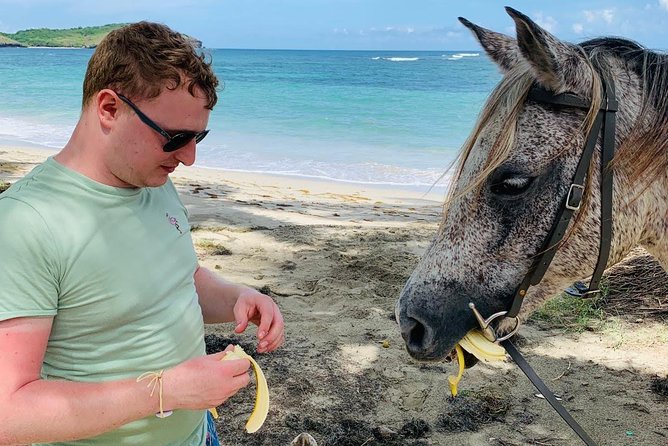 Private Beach Horseback Ride with Sandy Hoofs St. Lucia - The Beach Ride and Optional Ocean Swim