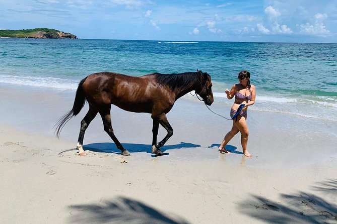 Private Beach Horseback Ride with Sandy Hoofs St. Lucia - Rain, Sun, and St. Lucia’s Seasons