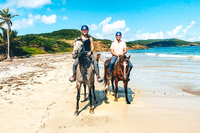 Private Beach Picnic Horseback Ride with Sandy Hoofs St. Lucia - Key points to know before booking