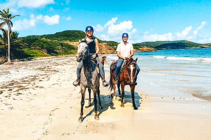 Private Beach Picnic Horseback Ride with Sandy Hoofs St. Lucia - Why the horses matter here
