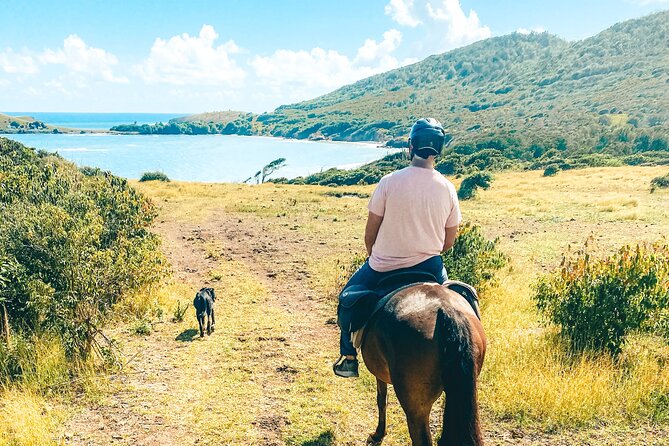 Private Beach Picnic Horseback Ride with Sandy Hoofs St. Lucia - Getting to the meeting point