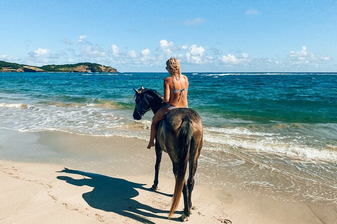 Private Beach Picnic Horseback Ride with Sandy Hoofs St. Lucia - Starting at Sandy Hoofs in Beausejour