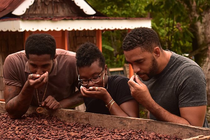 Private Chocolate Making Class - Key points about the Fond Doux chocolate class