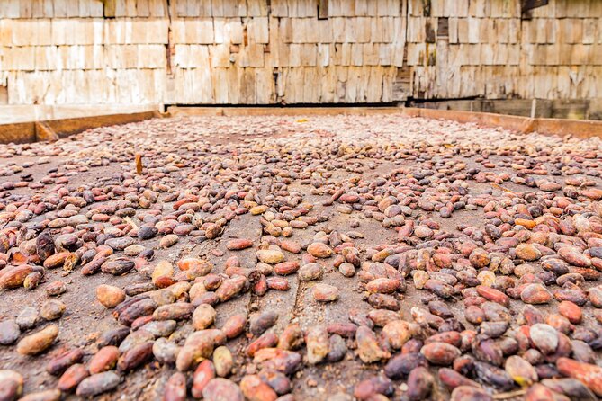 Private Chocolate Making Class - The Cacao-rina Dance at Fond Doux