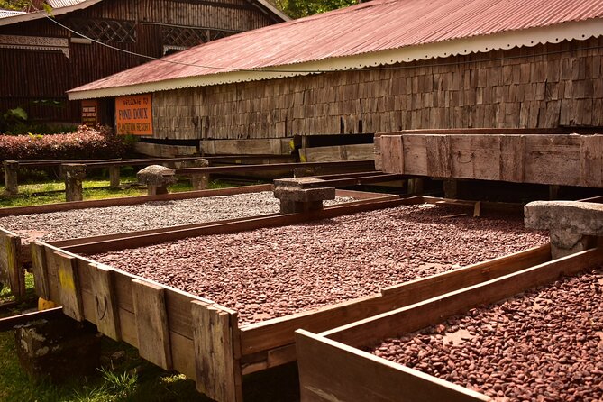 Private Chocolate Making Class - Making your own chocolate bar