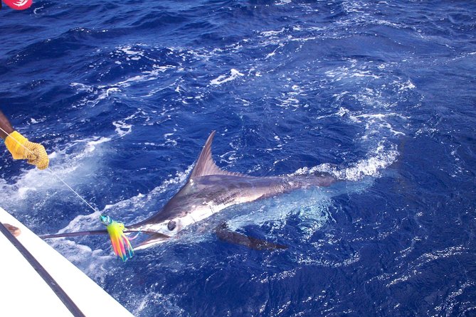 Private Fishing in St Lucia Charters - Key points before you book