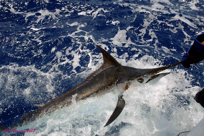 Private Fishing in St Lucia Charters - The crew is the main strength