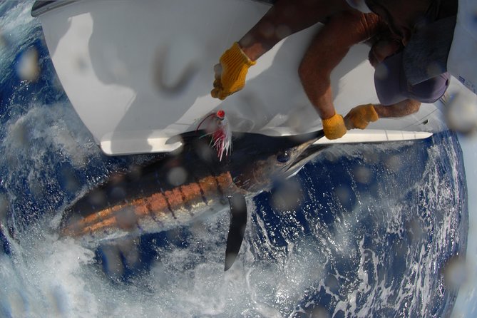 Private Fishing in St Lucia Charters - Comfort, snacks, and what to wear