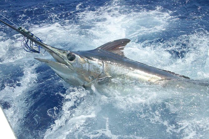 Private Fishing in St Lucia Charters - What the private boat changes