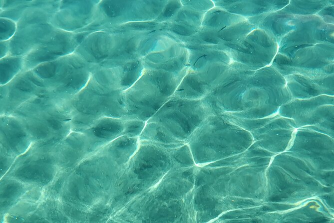 Private Full Day Snorkel Soufriere Charter - Anse Cochon When Time Allows