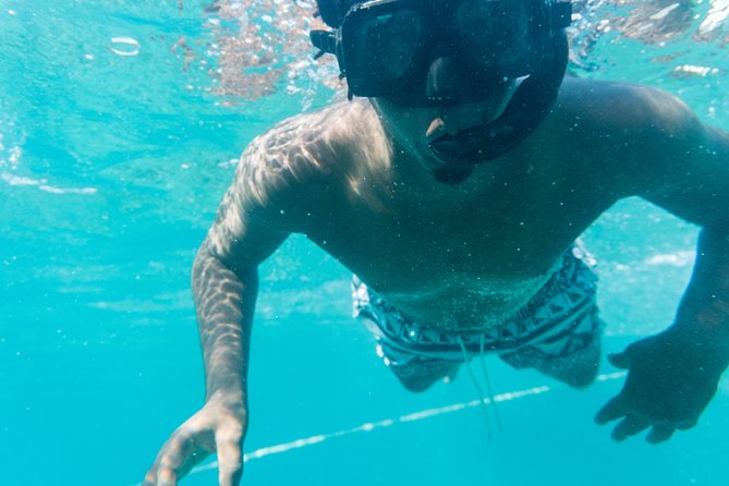 Private Half Day Catamaran Charter - Snorkeling at Several Possible Sites